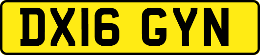 DX16GYN