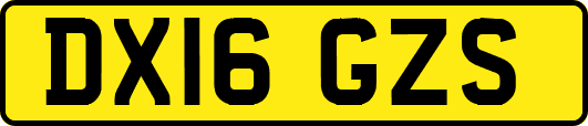 DX16GZS
