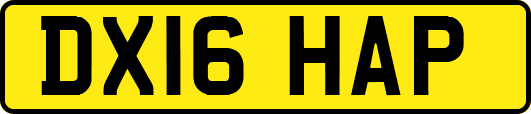 DX16HAP