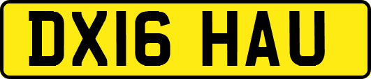 DX16HAU