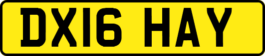DX16HAY