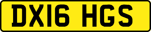 DX16HGS