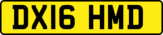 DX16HMD