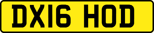 DX16HOD