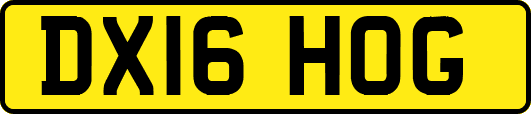 DX16HOG