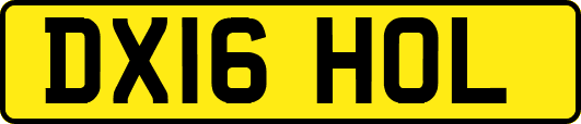 DX16HOL