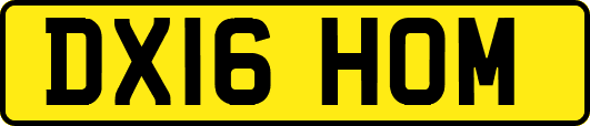 DX16HOM