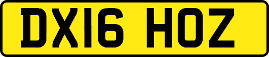 DX16HOZ
