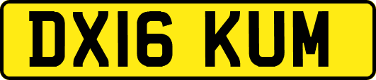DX16KUM