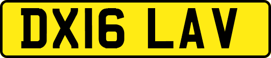 DX16LAV