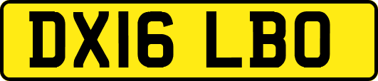 DX16LBO