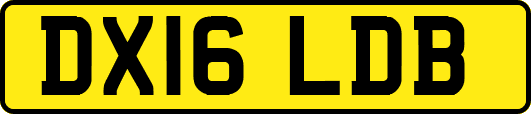 DX16LDB
