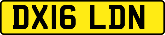DX16LDN