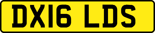DX16LDS