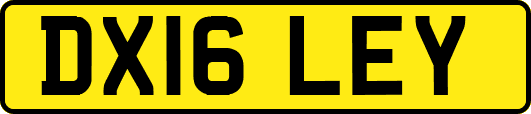 DX16LEY