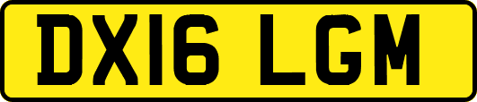 DX16LGM