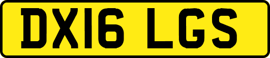 DX16LGS