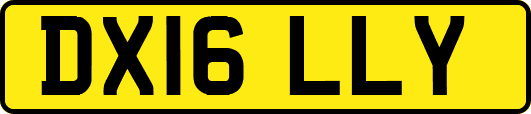 DX16LLY
