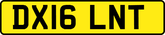 DX16LNT