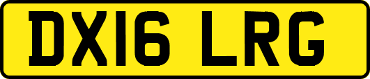 DX16LRG