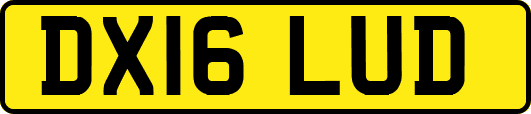 DX16LUD
