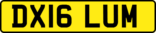DX16LUM