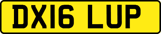 DX16LUP