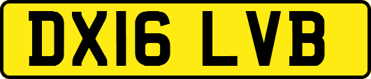 DX16LVB