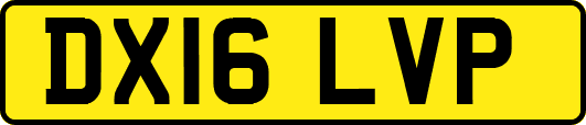 DX16LVP