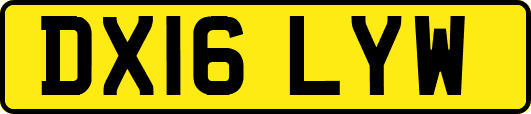DX16LYW