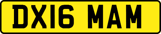 DX16MAM