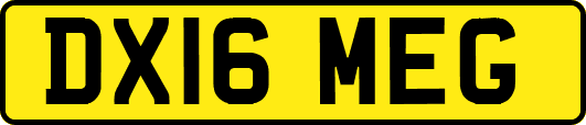 DX16MEG