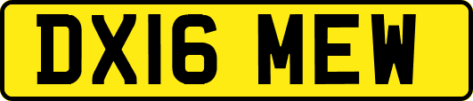DX16MEW