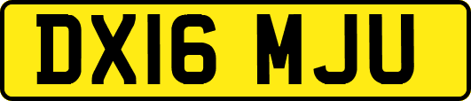 DX16MJU