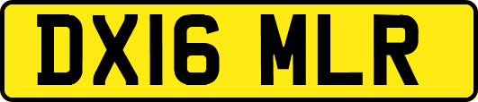 DX16MLR