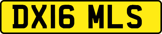 DX16MLS