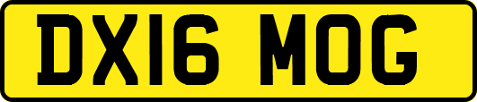 DX16MOG