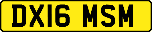 DX16MSM