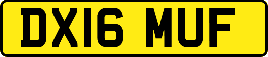 DX16MUF