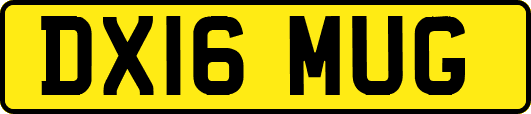 DX16MUG