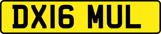 DX16MUL