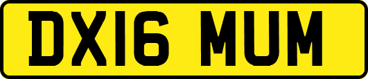 DX16MUM