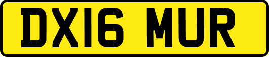 DX16MUR