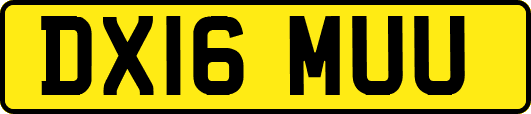 DX16MUU