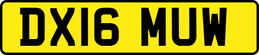 DX16MUW