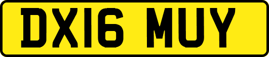 DX16MUY