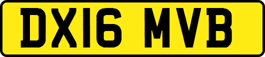 DX16MVB