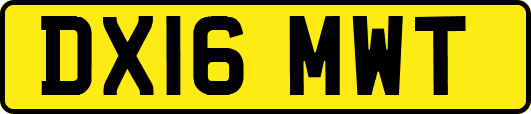 DX16MWT