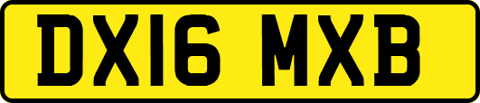 DX16MXB