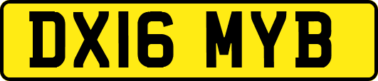 DX16MYB